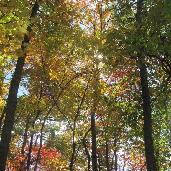 Meet your Posher, Jean - Picture 1 of 1